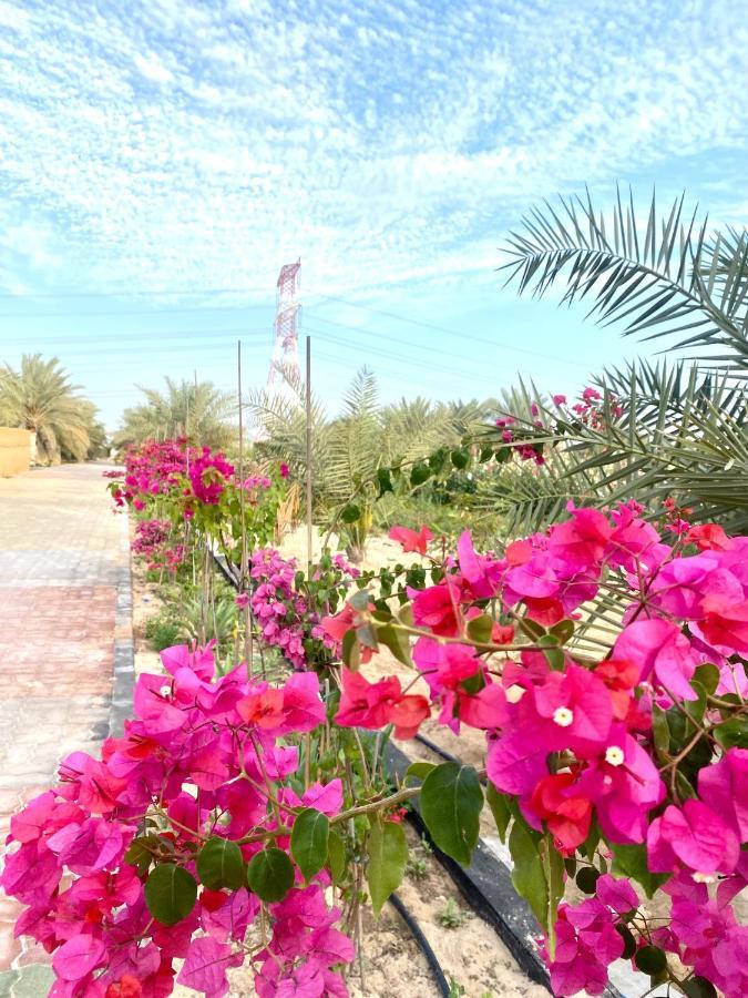 Luxury Farm With Swimming Pool And Bbq Villa Al Rahba Esterno foto